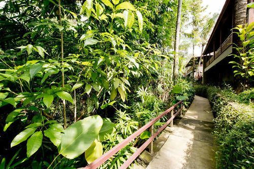 Ubud Heaven Sayan Exterior photo